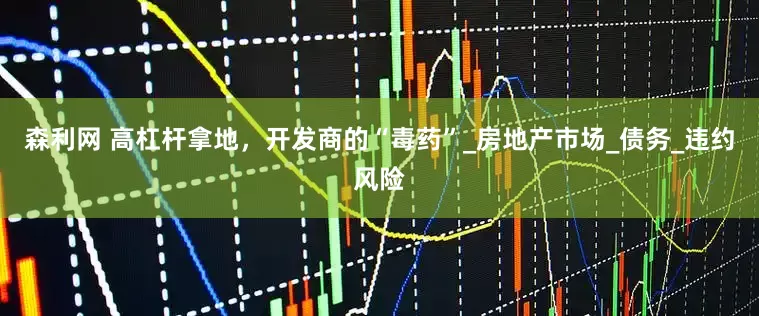 森利网 高杠杆拿地，开发商的“毒药”_房地产市场_债务_违约风险