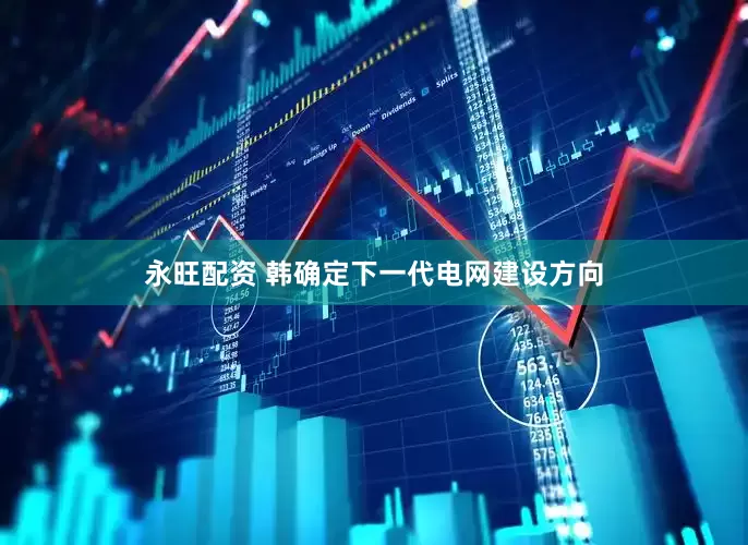 永旺配资 韩确定下一代电网建设方向
