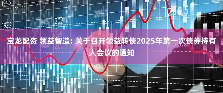 宝龙配资 领益智造: 关于召开领益转债2025年第一次债券持有人会议的通知