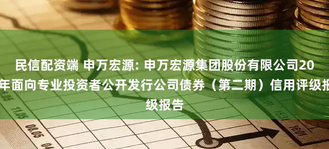 民信配资端 申万宏源: 申万宏源集团股份有限公司2025年面向专业投资者公开发行公司债券（第二期）信用评级报告