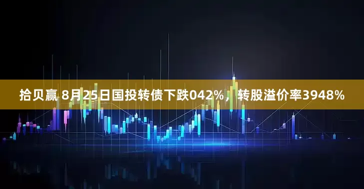 拾贝赢 8月25日国投转债下跌042%，转股溢价率3948%